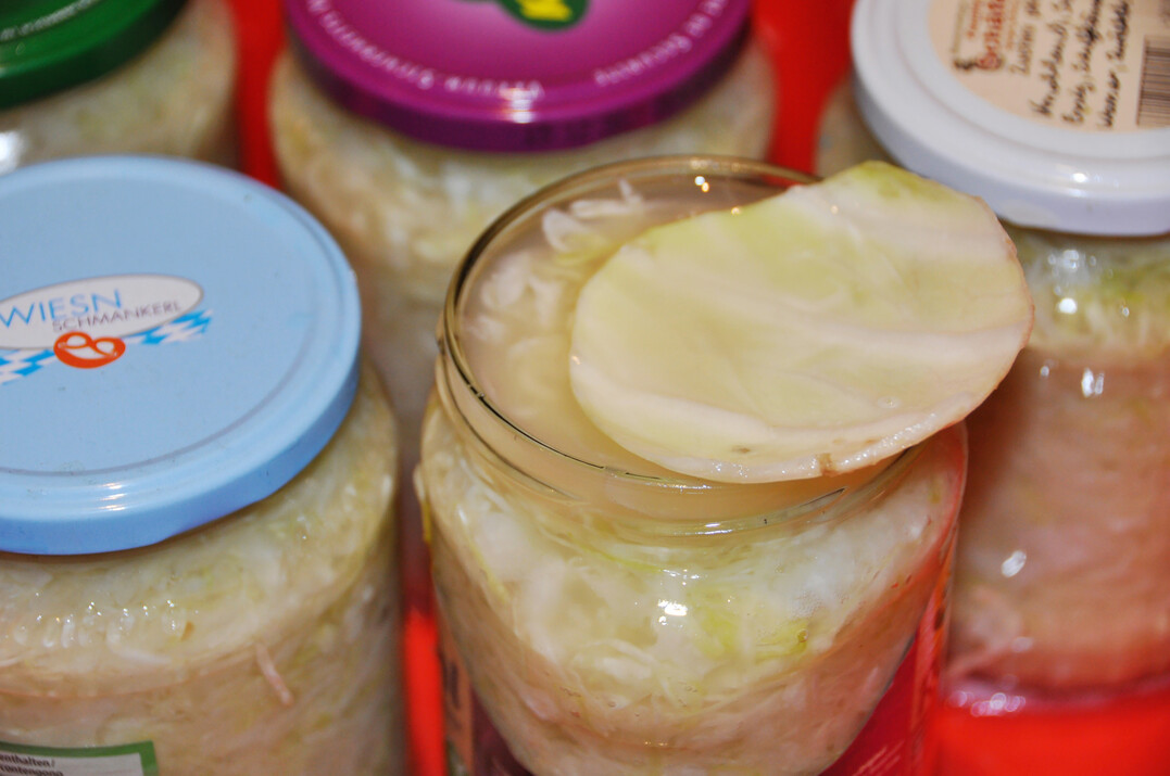 Selbst fermentieren: Frisch angesetztes Sauerkraut muss mit Wasser bedeckt sein. Die verschlossenen Gläser stehen in einer Wanne, weil es bei Überdruck zur Schaumbildung kommt. Es dringt dann etwa in den ersten 14 Tagen auch Feuchtigkeit aus den Gläsern. Später bleiben die Gläser sauber, sie halten dann auch mehrere Monate.