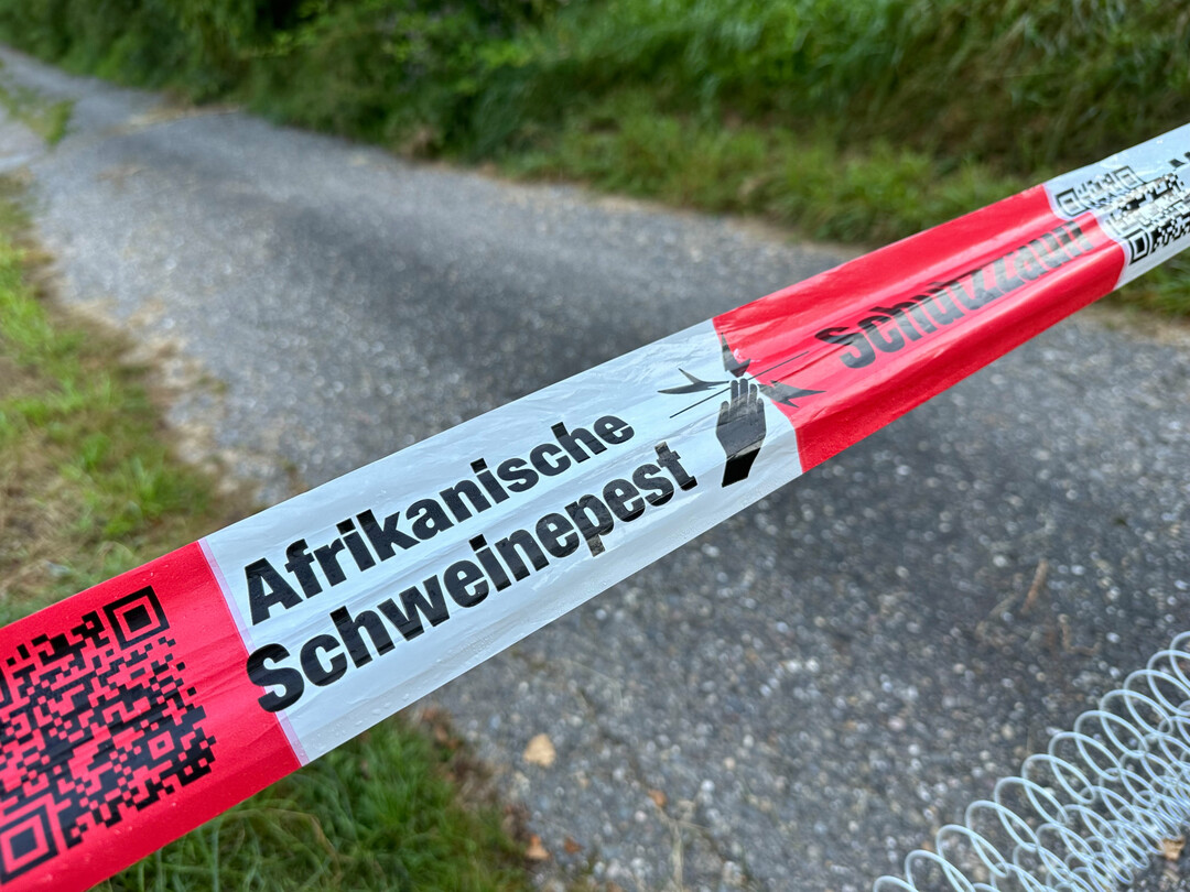 Manahmen um die Verbreitung der Afrikanischen Schweinepest zu verhindern.