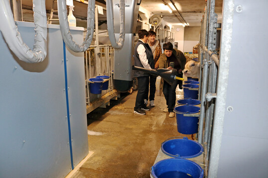 Tränke-Automat: Eine Besonderheit im Milchviehstall der Familie Dorn-Bohner ist die automatisierte Kälberfütterung. Alle drei Stunden fährt der Roboterarm vor die Boxen und lässt die Kälber trinken, verfüttert wird eine Mischung aus eigener Milch und Milchpulver, je nach Bedarf unterschiedlich gemischt.