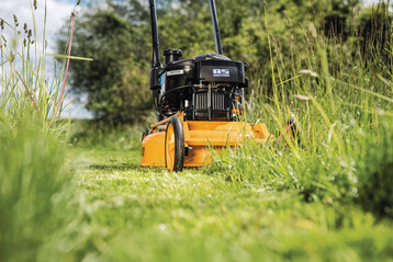 Der letzte Rasenschnitt sollte in der Zeit des sogenannten stoppenden Wachstums erfolgen.