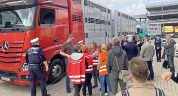 Tiertransportkontrollen am Autobahnkreuz Walldorf: Zum Schutz von Tieren und fr eine erhhte Verkehrssicherheit fhren die unteren Veterinrbehrden gemeinsam mit der Polizei zweimal jhrlich mehrwchige Schwerpunktkontrollen durch.