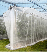 Volleinnetzung schützt vor einem massiven Befall mit Kirschessigfliege sofern die Rasterung passt.