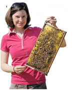 Magdalena Ulmer zeigt einen Rahmen mit Drohnenbrut, die zu hochwertiger Eiweißnahrung verarbeitet werden könnte.