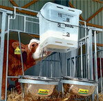 Drei Nuckel-Tränkeeimer stehen zur Auswahl bei Patura.