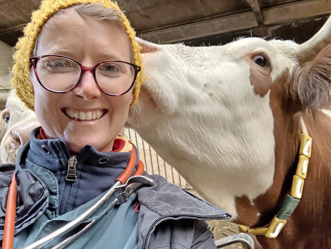 1 „Aktuell haben wir kaum Virusnachweise und das ist sicher auch der guten Impfbereitschaft der Landwirte zu verdanken“, sagt Tierärztin Amelie Armbruster von der Tierklinik Gessertshausen im bayerischen Landkreis Augsburg.