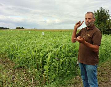 Fr Alois Huschle steht fest: Eine Zwischenfrucht muss behandelt werden wie eine Hauptkultur. Auf einem Teil der 115 ha hat er ein Versuchsfeld mit verschiedenen Zwischenfrchten angelegt.