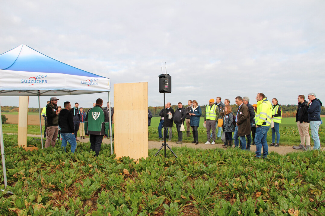 SBR-Gipfel: Auf Einladung der sddeutschen SBR-Task-Force haben sich am 15. Oktober 2025 ber 150 Experten aus dem gesamten Bundesgebiet in Offenau getroffen, um aktuelle Entwicklungen in der Bekmpfung der Schilf-Glasflgelzikade zu diskutieren. 
