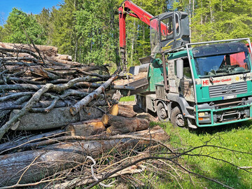 Brennholz stabilisiert den Stammholzmarkt: Ohne den Brennholzmarkt ist die Bereitstellung von Stammholz wirtschaftlich hufig nicht darstellbar. Das Bild zeigt die Hackschnitzel Herstellung mit einem sogenannten Hacker. 