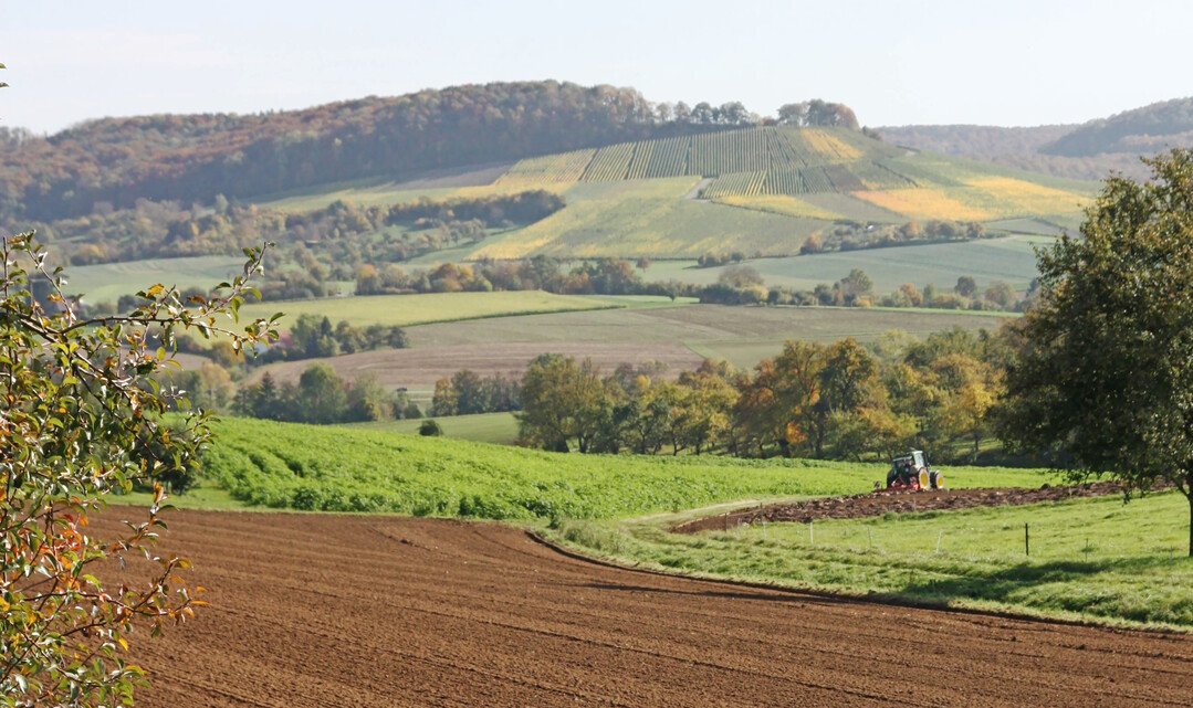 Hohe Preise erzielen Flächen für Bebauung, Verkehr und Ausgleich nach dem Bundesnaturschutzgesetz.