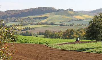 Hohe Preise erzielen Flchen fr Bebauung, Verkehr und Ausgleich nach dem Bundesnaturschutzgesetz.