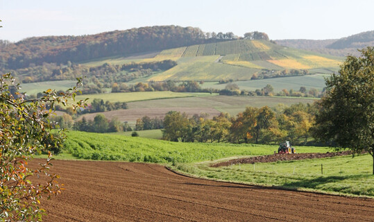 Hohe Preise erzielen Flächen für Bebauung, Verkehr und Ausgleich nach dem Bundesnaturschutzgesetz.
