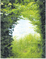 Gärten sollten nicht nur Geborgenheit vermitteln, sondern an geeigneter Stelle einen Ausblick bieten und Weite schaffen. Durch eine Öffnung in der Hecke wurde der angrenzende See als Blickfeld mit in den Garten einbezogen.