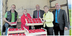 Frische Erdbeeren zum Saisonstart boten, v.r.: Wendelin Obrecht, Friedlinde Gurr-Hirsch (MdL), Franz-Josef Müller, Kordula Kovac (MdB) und Stefan Ziegler.