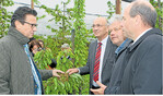 Keine Kirschenernte: Minister Peter Hauk (l.) und LVEO-Präsident Franz Josef Müller (2. v. l.) sowie Abgeordneter Martin Hahn (r.) zeigten sich auf dem Betrieb von Thomas Heilig betroffen über das Ausmaß des Frostschadens.