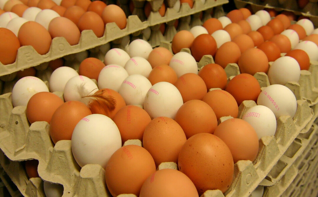 Die Deutschen essen gerne Eier: im Schnitt 249 Stück pro Einwohner.