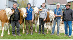 Die Fleckviehzüchter trieben in Ilshofen nur gut entwickelte Rinder auf und erhielten dafür Bestnoten von der Jury.