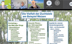 Dr. Hubert Kempf, Weizenzüchter und Stationsleiter Feldkirchen bei Secobra (oben Mitte), bei der Online-Pressekonferenz von Secobra, erklärt die Zuchtziele bei Weizen und welche der Ziele für den Klimawandel besondere Bedeutung gewinnen. Winterhärte, Trocken- und Hitzeresistenz, Auswuchsresistenz sowie Resistenz gegen Schaderreger aller Art sind die wichtigsten in dieser Liste.