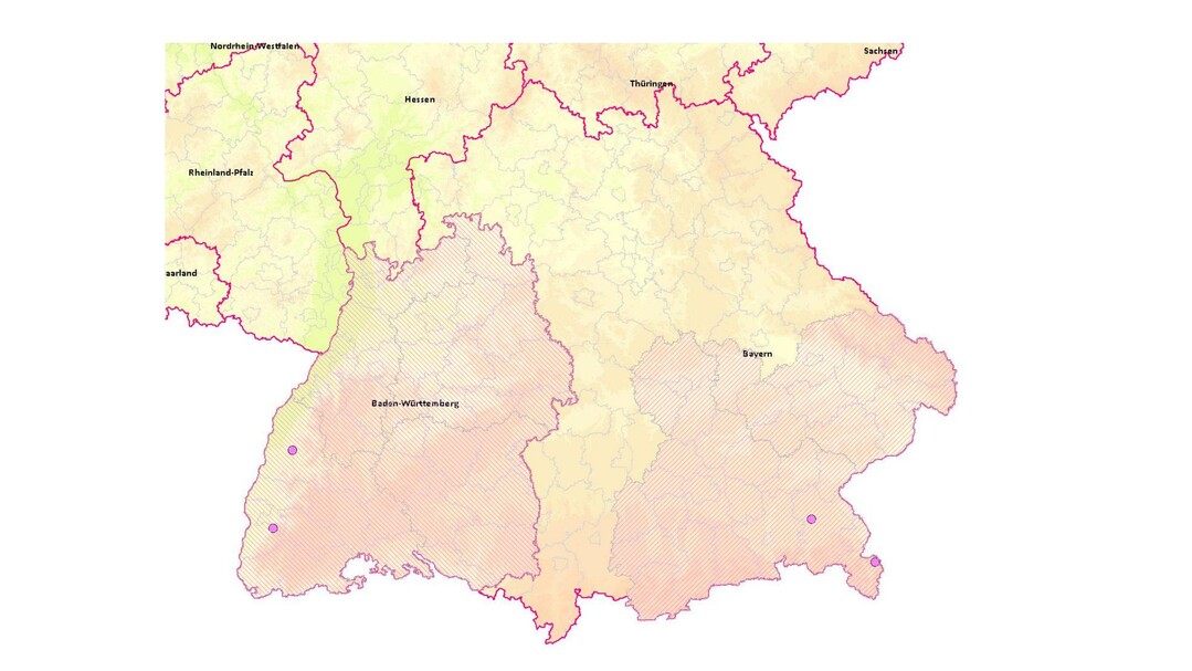 Abb. 1: Karte mit BTV-8-Ausbrchen in Baden-Wrttemberg und Bayern (rosa Punkte). Schraffierte Gebiete: Aktuell nicht freie BTV-8-Zonen.