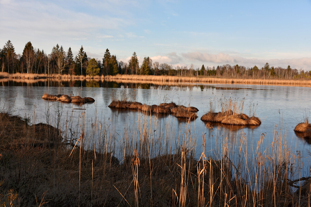 Das Ried in Bad Wurzach, Landkreis Ravensburg in Oberschwaben, sollte eigentlich zur Kernzone werden.