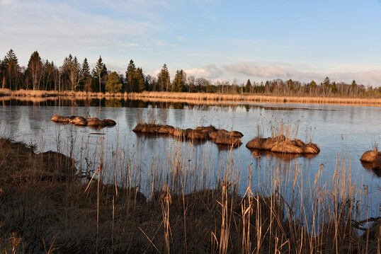 Das Ried in Bad Wurzach, Landkreis Ravensburg in Oberschwaben, sollte eigentlich zur Kernzone werden.