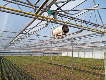 Im jetzt wieder aufgelegten Bundesprogramm Energieeffizienz wird unter anderem auch die energetische Sanierung von Gewächshäusern gefördert.