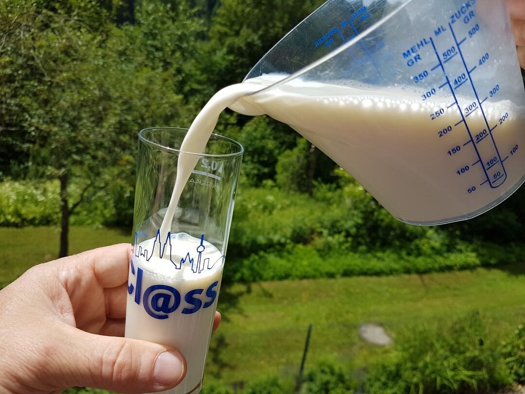 Rohmilch kann mit krankmachenden Keimen belastet sein.