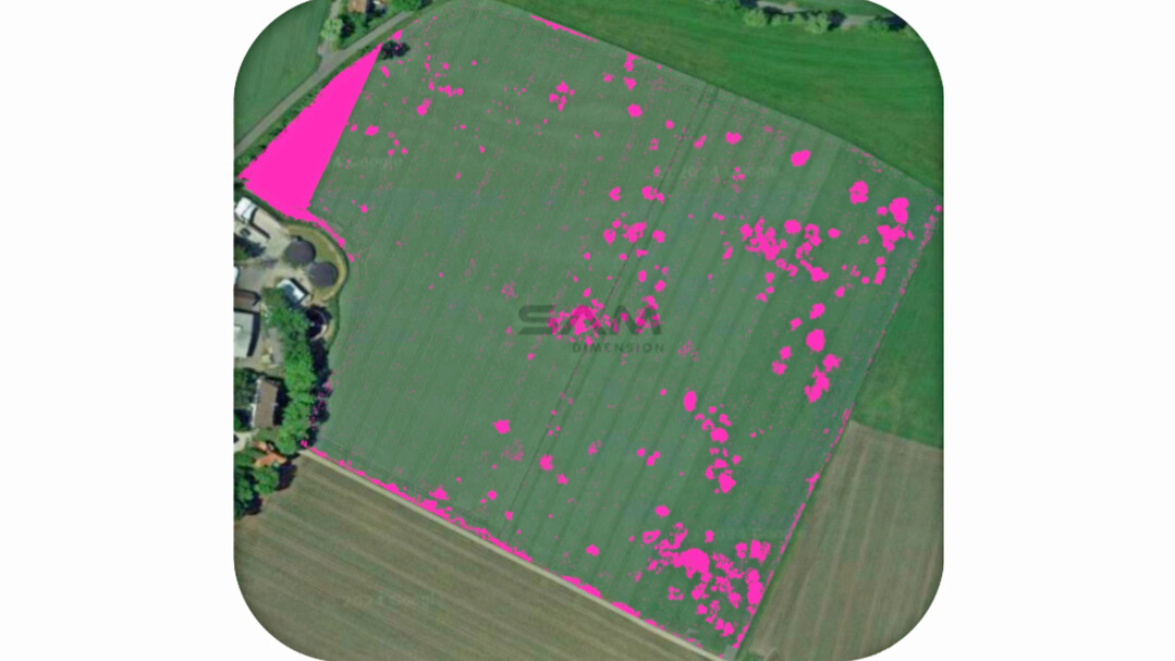Spot-Spray Map Distel und Winde in Getreide.