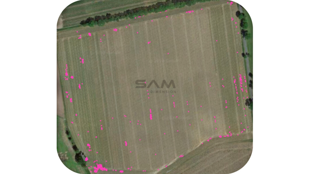 Spot-Spray Map Durchwuchskartoffeln in Zwiebeln.