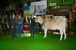 Bestes Typtier Braunvieh: Viff-Tochter Ladade aus dem Betrieb Friedrich Sauter, Krattenweiler, der Ehrenpreis wurde durch die Braunviehkönig Bianca Traut und Lemmer-Fullwood Verkaufsleiter Jan Möller überreicht.
