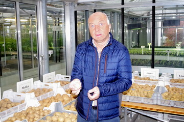 Hans-Jürgen Meßmer riet dazu, auf eine Stickstoffgabe nach der Kartoffelblüte dringend zu verzichten. Sonst komme es zu Zwie- oder Kettenwuchs der Knollen.