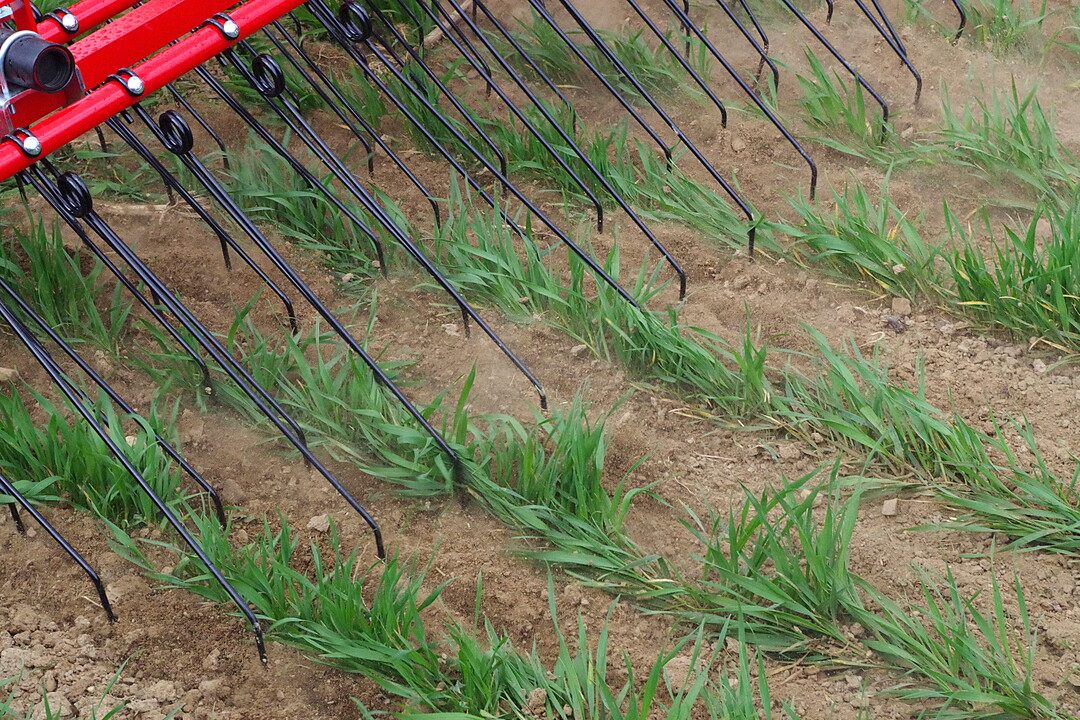 Striegel Einböck Aerostar Exact: Der bis zu zwölf Meter breite Zinkenstriegel verfügt über eine Verbesserte Bodenanpassung und Tiefenfühung durch ein Heckfahrwerk. Zinken von sieben Millimeter Breite und 60 Zentimeter Länge sind an beweglichen Striegelfeldern von 1,5 Meter Breite angebracht.