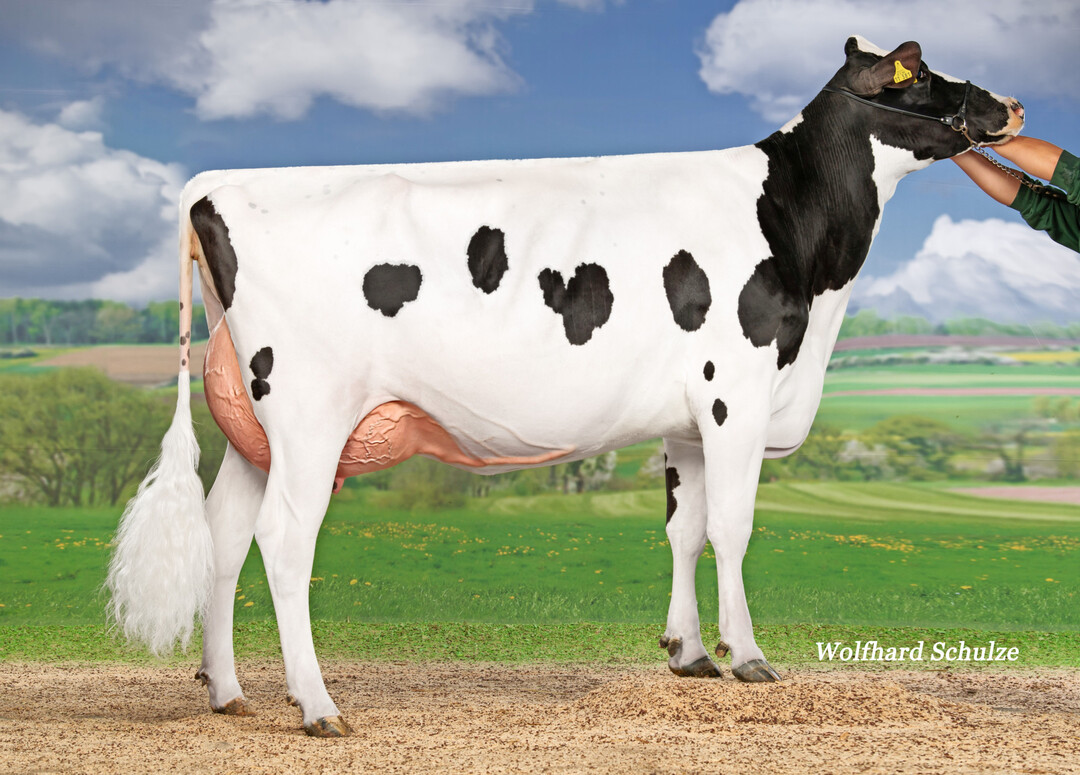 3 Die Canitz-Tochter Cricket schaffte den Reservesieg in der Gruppe der Nachzuchten.