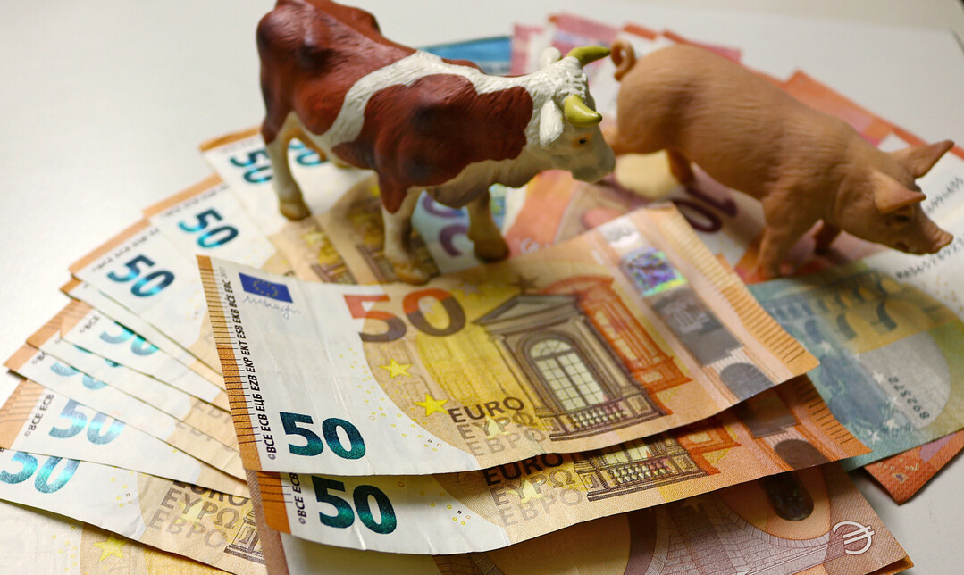 Der Agrarhaushalt 2026 ist unter Dach und Fach. Mit knapp sieben Milliarden Euro fr das Agrarressort stehen rund 100 Millionen Euro mehr zur Verfgung als 2025. 