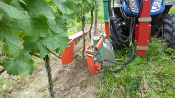 Infos zu den zu anstehenden Ausbrecharbeiten und zum Stmmchenputzen lesen Sie in unseren Arbeitshinweisen in BWagrar 18/2023.