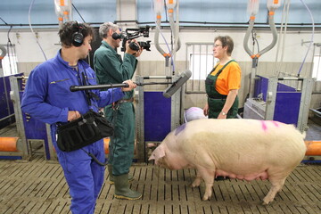 Landwirtin praktiziert ffentlichkeitsarbeit und erklrt bei Filmaufnahmen die Sauenhaltung.