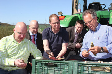 Die Stecklinge wachsen in einem Jahr bis zu 2,5 Meter in die Hhe und lassen zwischen Tauberbischofsheim und Grorinderfeld einen Energiewald entstehen (v.l.n.r.): Unternehmer und Landwirt Christian Endres; H-O-T Geschftsfhrer Sebastian Damm; Wolfram Kudlich von Wald21; Frank Knzig, Geschftsfhrer der Energieagentur Main-Tauber und Landrat Reinhard Frank