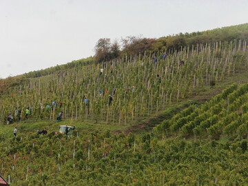 Vor allem bei fremden Arbeitskrften mssen die Mindestlhne sowie die Anforderungen der Arbeitsstttenverordnung und die Regelungen zur Arbeitszeit beachtet werden.