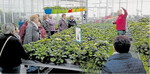 Tuttlinger Landfrauen erhielten beim Besuch der Gärtnerei Hosch Einblick in die Anzucht und Pflege von allerlei Pflanzen.