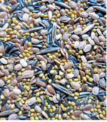 Die Mischung ZG Bodenfit mit zur Aussaat abgestimmtem Größenverhältnis der Mischungspartner.