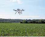 Die Maiszünslerkontrolle erfolgt zunehmend aus der Luft mit einem Multikopter.