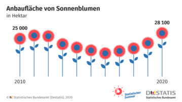 Die Anbauflche von Sonnenblumen erreicht 2020 den Hhepunkt der letzten zehn Jahre.