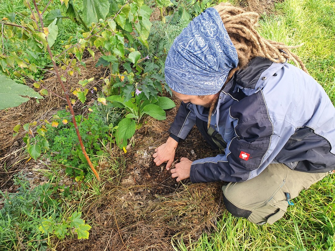 Renke de Vries pr�sentiert den Boden unter der Mulchschicht...