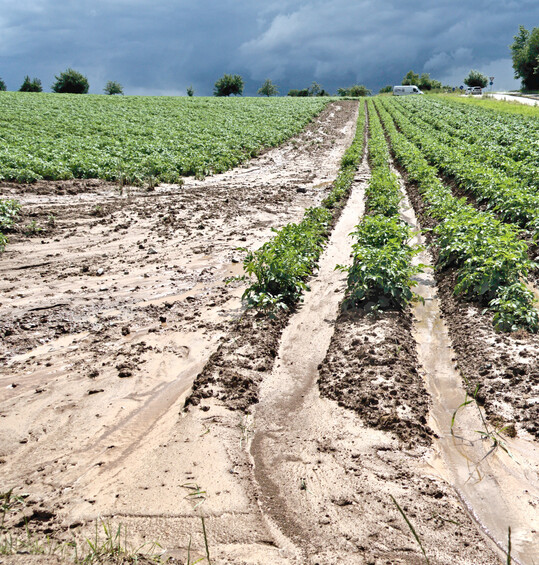 Die schlechte Benetzbarkeit stark ausgetrockneter Bden ist eine der Ursachen fr Erosion.