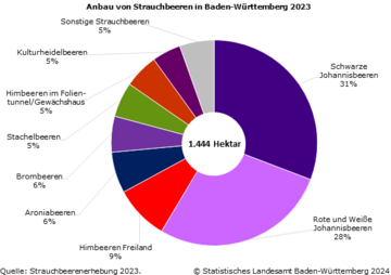 Strauchbeerenanbau in Baden-Wrttemberg