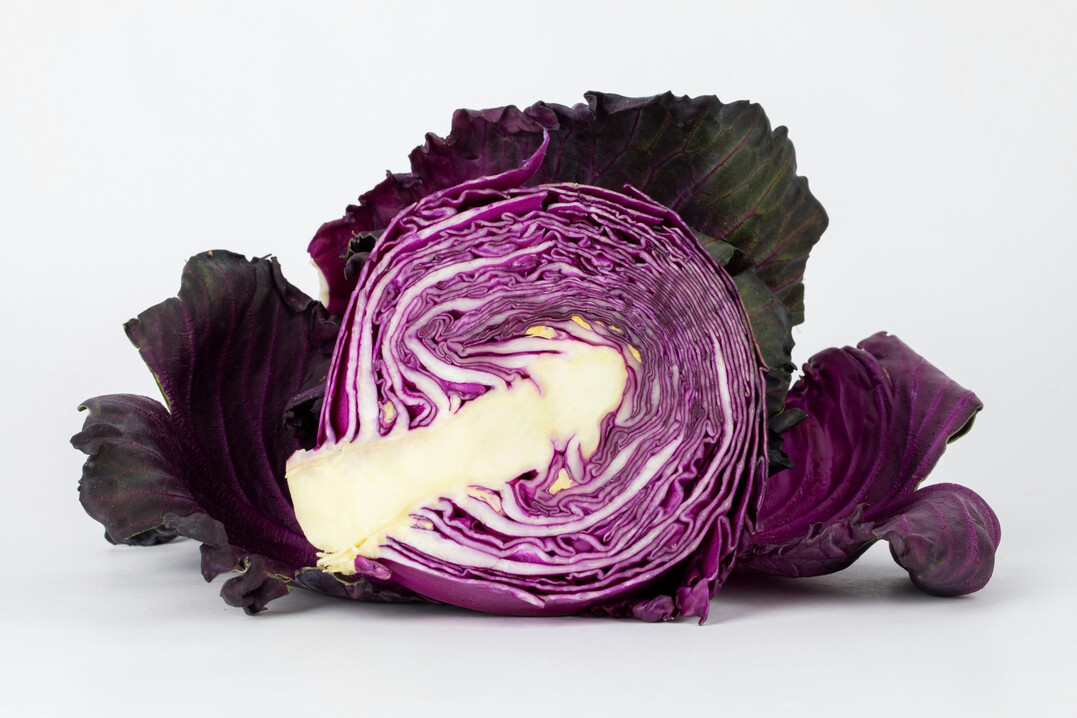 Rotkohl hat fast das ganze Jahr über Saison.