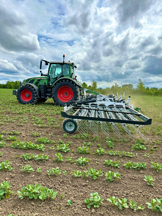 Bei Bedarf l�sst sich der Strichabstand einfach verdoppeln.