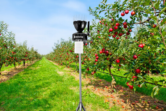 Die Wetterdaten werden alle 15 Minuten aktualisiert.
