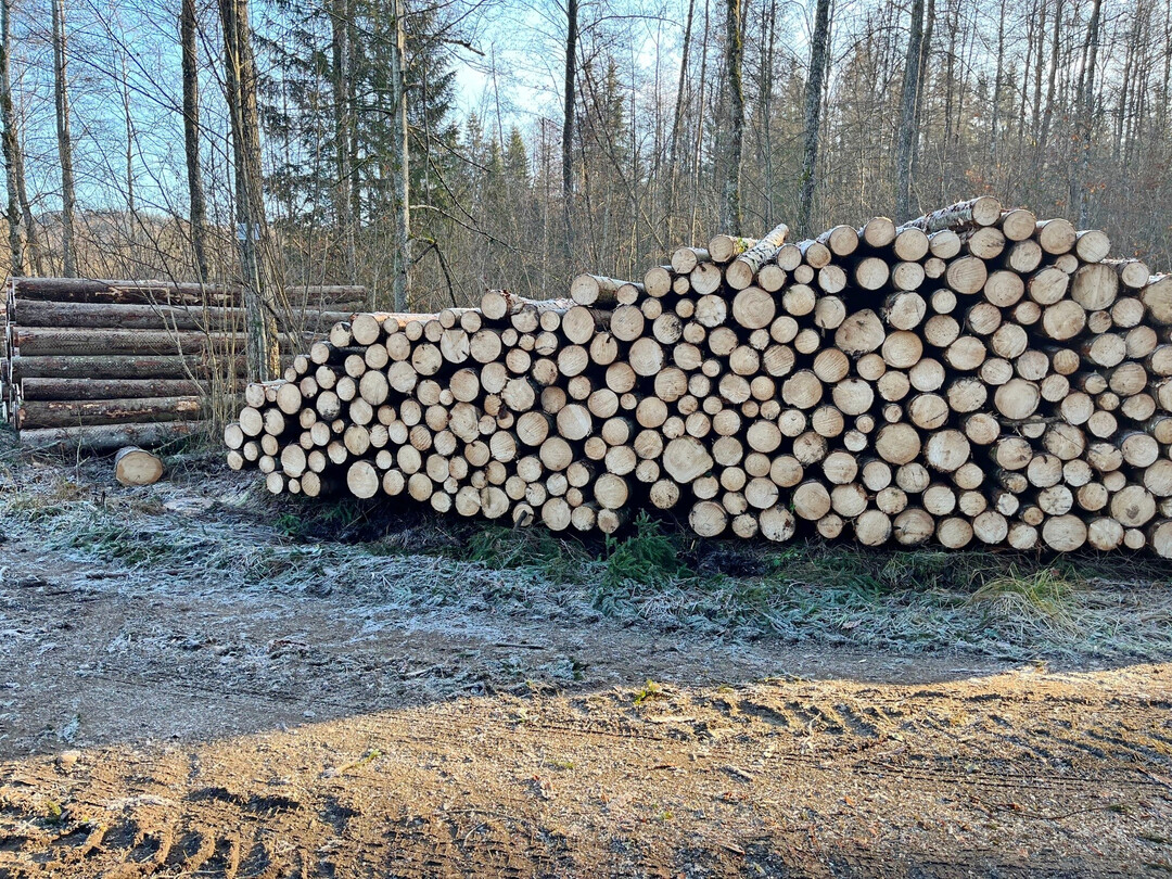 Nadelholz ist gefragt � da sind die bevorstehenden Feiertage �ber Weihnachten und Neujahr ein guter Zeitpunkt, um Holz zu machen, zumal es in den kommenden Tagen k�lter werden soll.