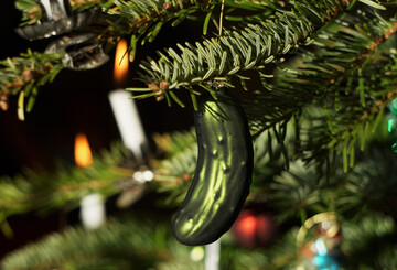 Eine Gurke im Weihnachtsbaum.
