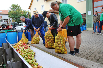 Die Mostobstmengen 2025 im Südwesten waren teils größer als erwartet. Im Gegenzug blieben die Mostobstpreise aber unter den Vorjahreswerten.